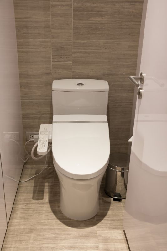 Elegant Toilet and Bidet